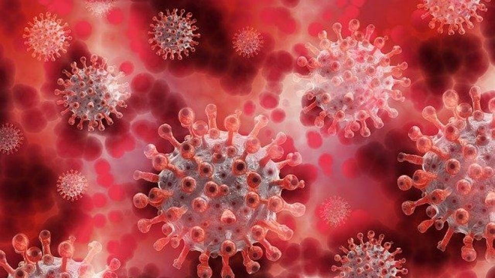 Studi: Satu Tetes Virus Corona ke Hidung Bisa Buat Orang Sehat Jadi Sakit Covid-19