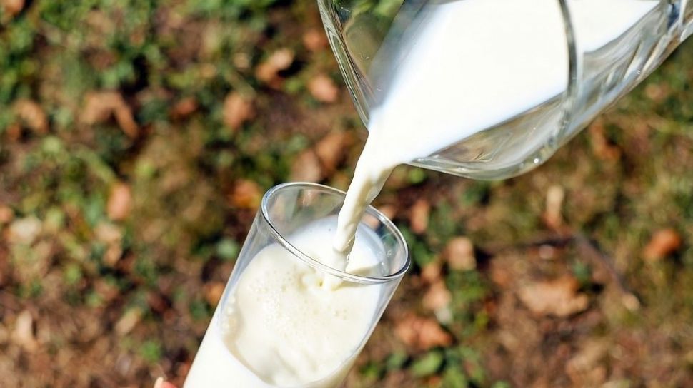 Susu Berlabel ‘Baik Digunakan Sebelum’ Tetap Bisa Diminum Meski Sudah Lewat Tanggal yang Tertera, Ini Alasannya