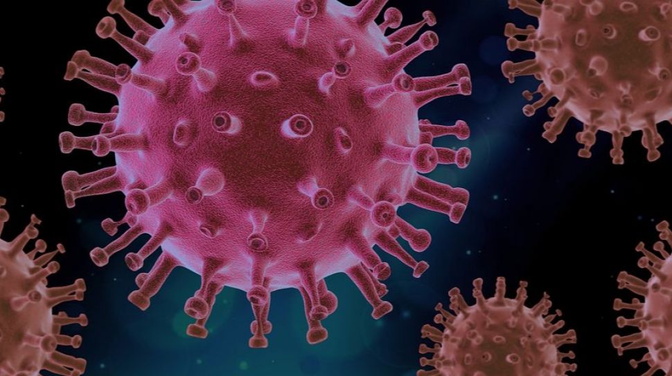 Peneliti Temukan NeoCov, Virus Corona Jenis Baru yang Disebut Berpotensi Jadi Ancaman Umat Manusia