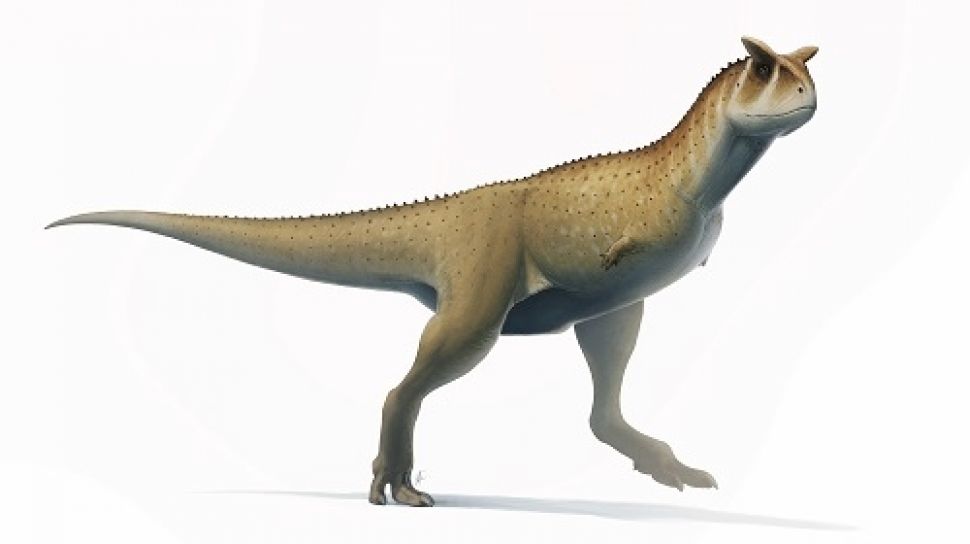 Fosil Dinosaurus Tanpa Lengan Ditemukan, Berusia 70 Juta Tahun Lalu