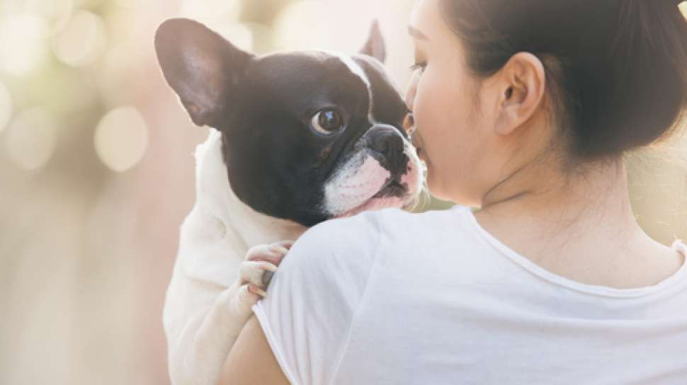 Cobalah Pelihara Anjing, Ini 5 Manfaatnya untuk Kesehatan dan Kesejahteraan Hidup!