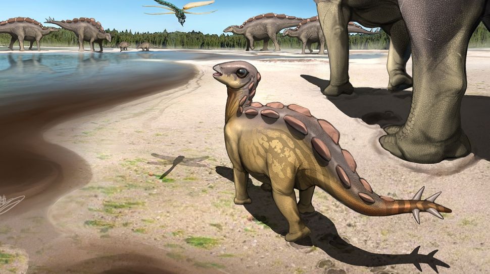 Ilmuwan Temukan Fosil Stegosaurus di Asia, Jadi yang Tertua di Dunia