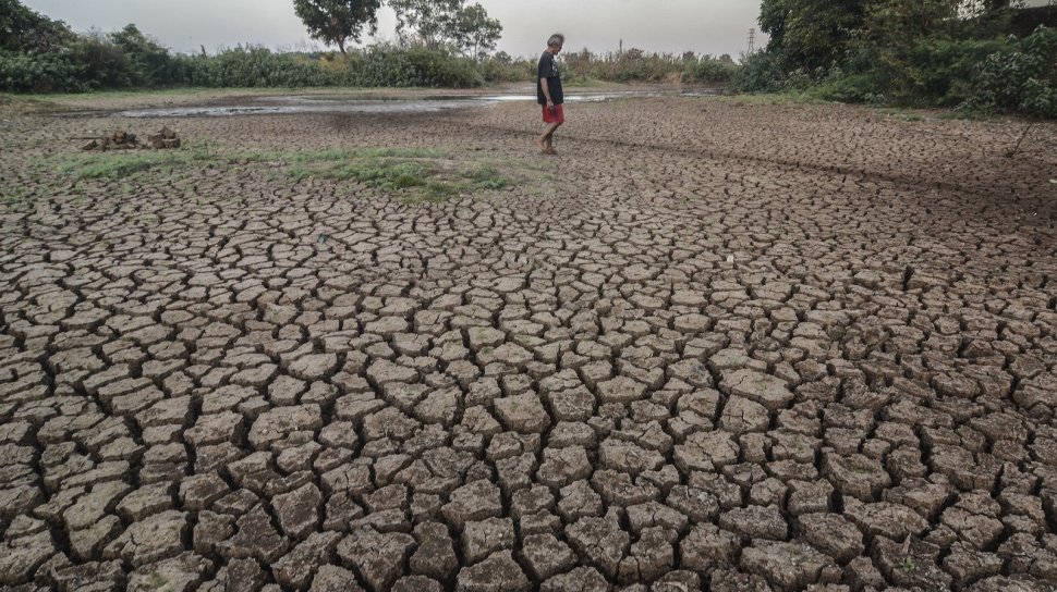 Jelang Musim Kemarau, BMKG Minta Masyarakat Tampung Air Hujan: Resapkan ke Tanah