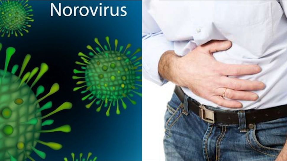 Norovirus Mewabah di Inggris, Kenali 3 Gejala yang Paling Umum!