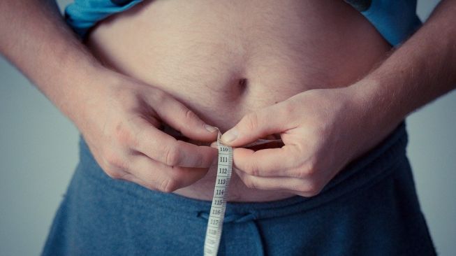 lemak perut, obesitas, perut buncit (Pixabay/jarmoluk)